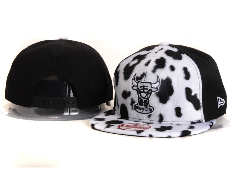 NBA Chicago Bulls NE Snapback Hat #248